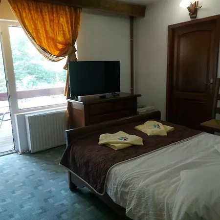 Pensiunea Casa Noastra Πανσιόν 4*