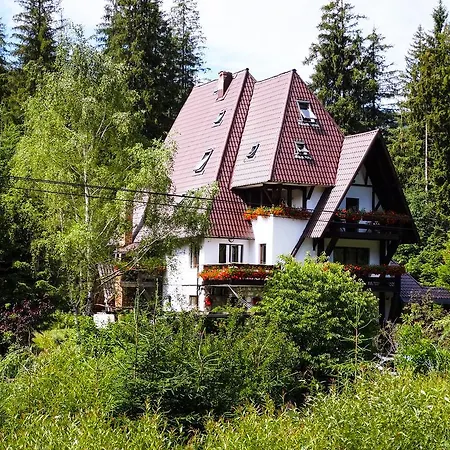 Pensiunea Casa Noastra Guest house Arieseni
