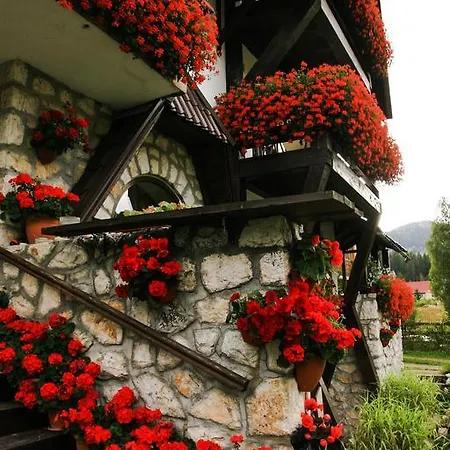 Pensiunea Casa Noastra Guest house 4*